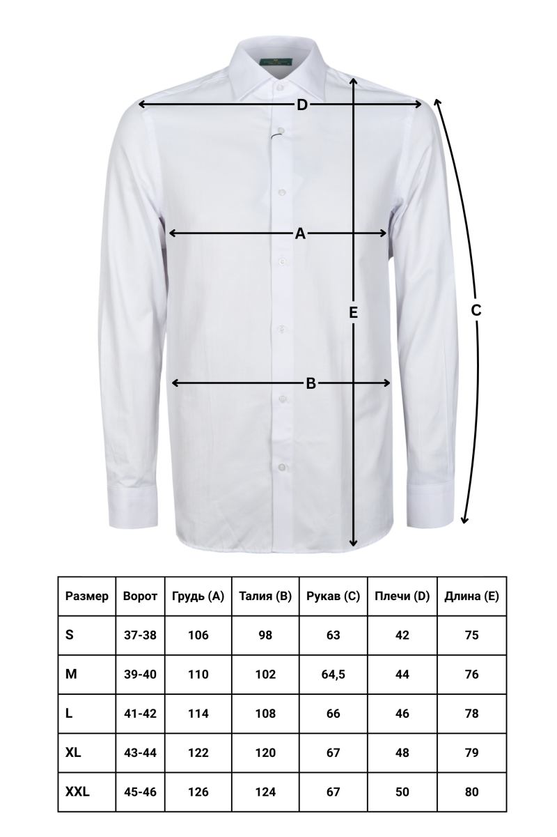 Сорочка  MARCO SANTONI 36024-1