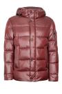 Куртка VIVACANA 63AW5730M/DARK RED/583
