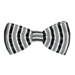 Бабочка  ANDREW WHITE